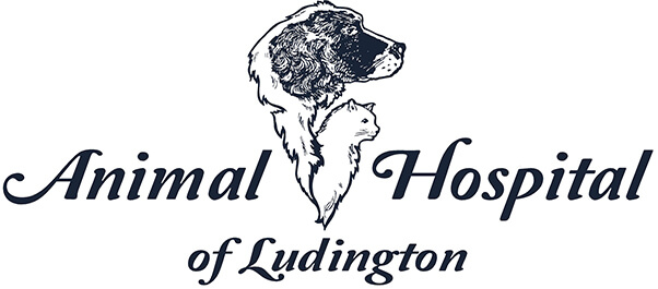 Animal Hospital of Ludington Home