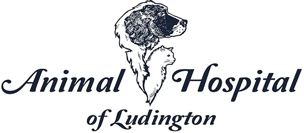 Animal Hospital of Ludington