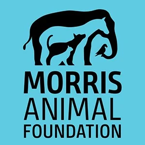 Morris Animal Foundation