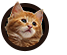 Cat Articles