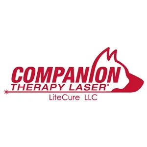 Companion Therapy Laser