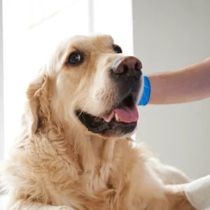 Laser Therapy